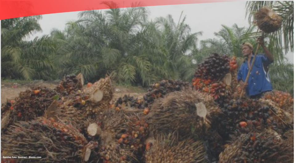 Konsumsi Minyak Sawit Indonesia Capai 18,5 Juta Ton pada 2021
