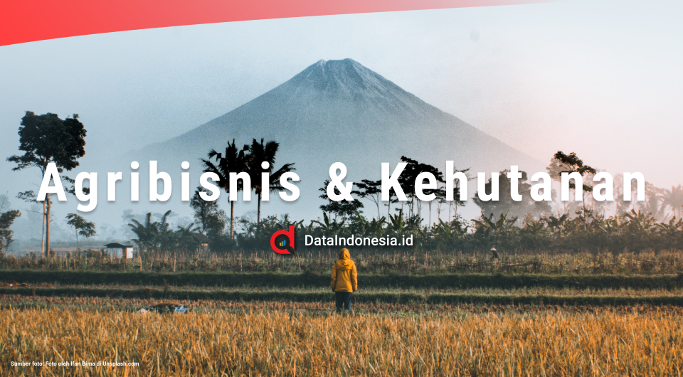 Pisang, Buah Paling Banyak Diproduksi di Indonesia pada 2021