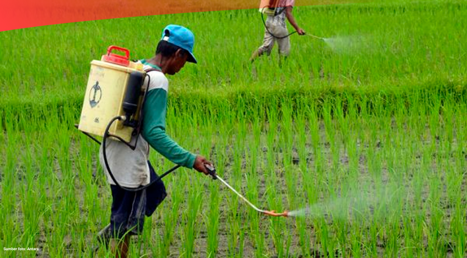 Jenis-jenis pekerjaan di sektor pertanian 2026