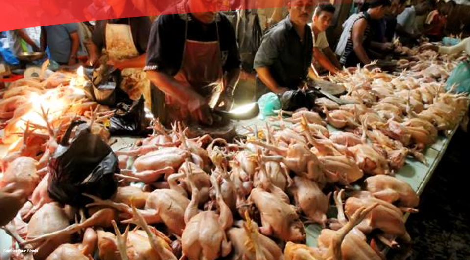 Harga Telur Stabil, Harga Daging Ayam Turun (10 Oktober 2022)