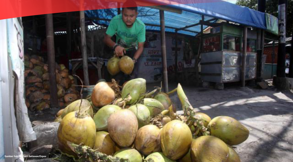 Produksi Kelapa Di Indonesia Sebanyak Juta Ton Pada