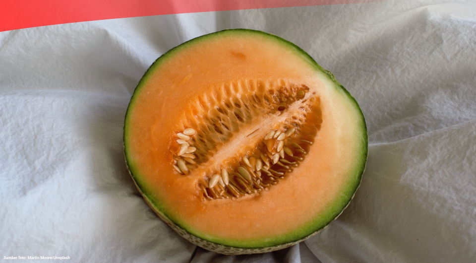 Produksi Melon di Indonesia Kembali Turun 8,08 pada 2022